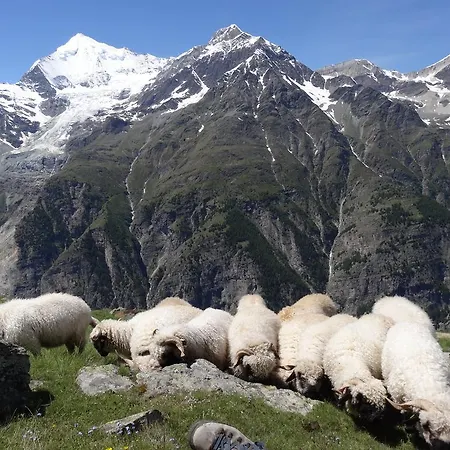 Panorama - Lovely Place In Nature