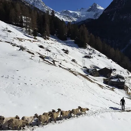 Panorama - Cozy Place In Nature