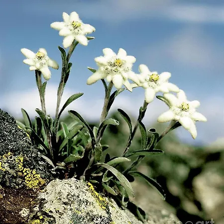 Panorama - Lovely Place In Nature Holiday home