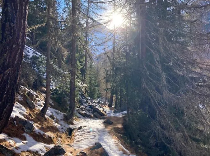 Panorama - Lovely Place In Nature