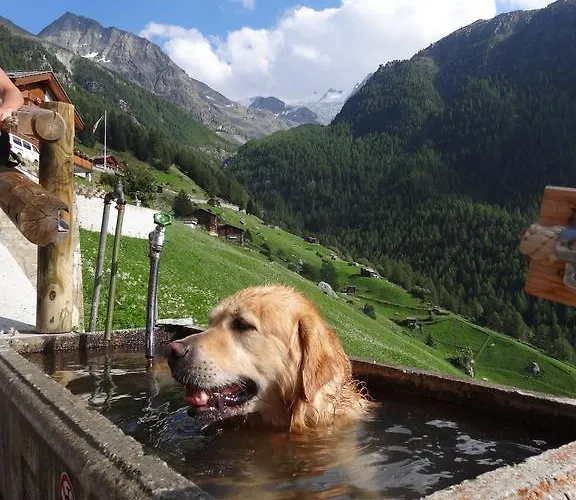 Panorama - Lovely Place In Nature Casa de Férias