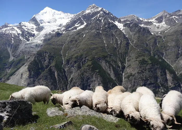 Panorama - Lovely Place In Nature