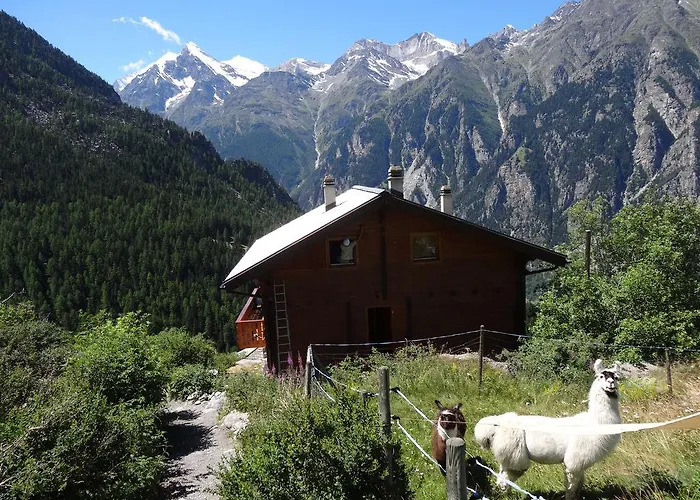 Casa de Férias Panorama - Lovely Place In Nature *