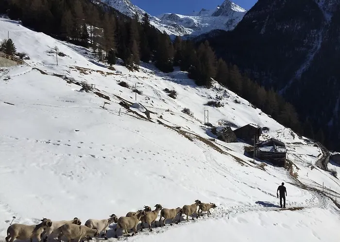 Panorama - Lovely Place In Nature