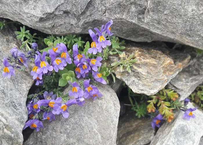 Panorama - Lovely Place In Nature Casa de Férias *
