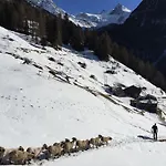 Panorama - Lovely Place In Nature