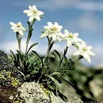 Panorama - Lovely Place In Nature بيت للعطل