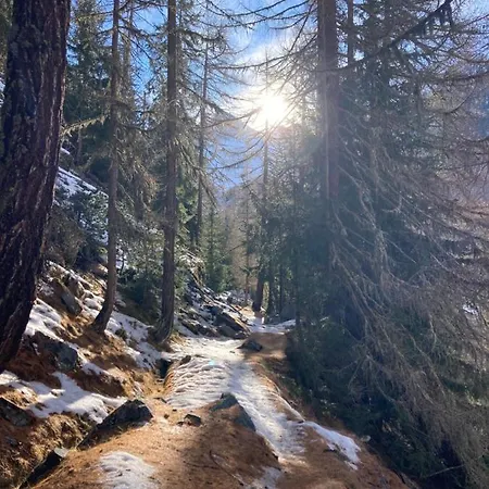 Panorama - Lovely Place In Nature