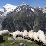 Panorama - Lovely Place In Nature
